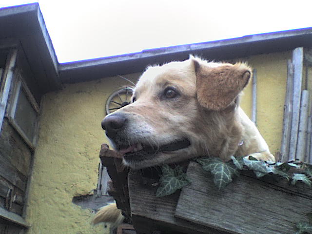 dsc08164