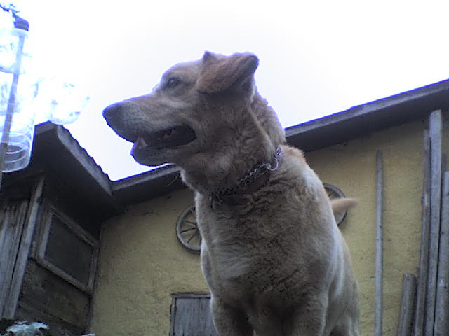 dsc08160