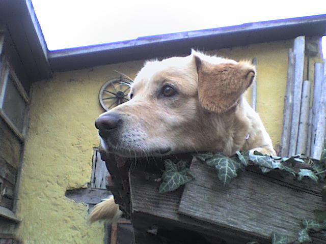 dsc08163