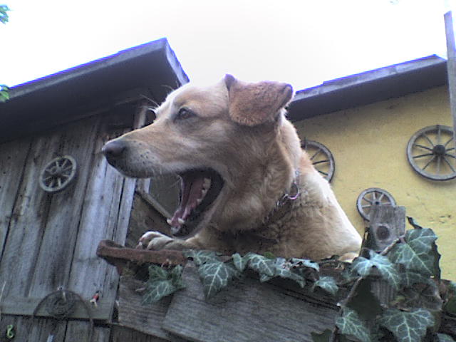 dsc08165