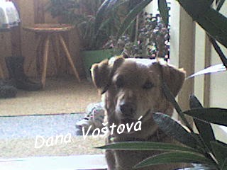 dsc00082--3-