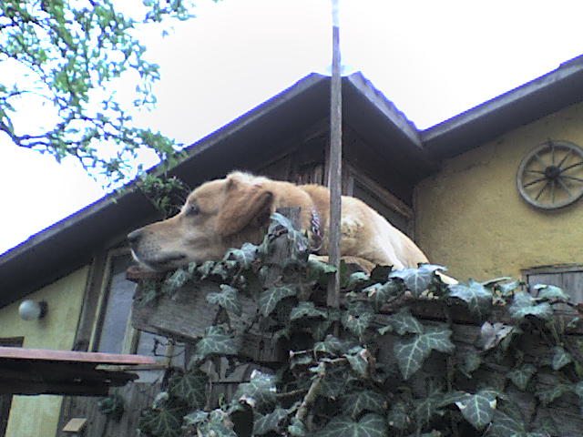 dsc08170