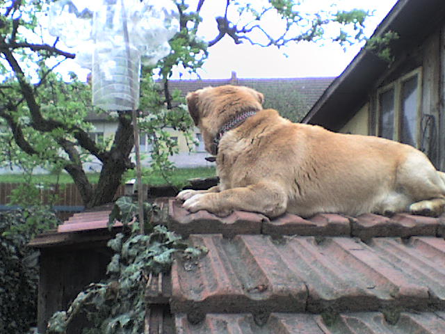 dsc08171