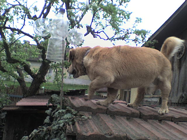 dsc08174