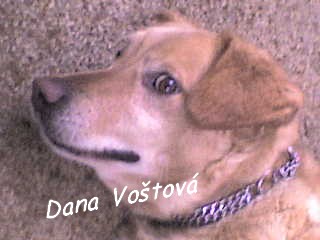 dsc00120