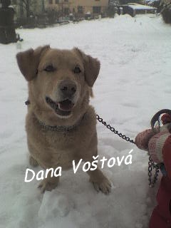 dsc00123