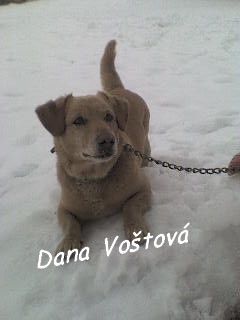 dsc00124