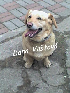 dsc00150