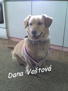 dsc00161