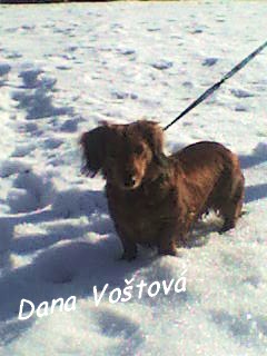 dsc00090